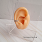 Ear Cuff Anali - Cristal - Silver