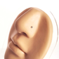 Piercing Maite - Silver - Nostril - 2 mm