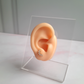 Aretes Singapur - Cristal - Gold - 11x3 mm