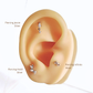 Piercing Heidi - Silver - 5x8mm