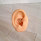 Piercing Sasha - Gold - 8mm